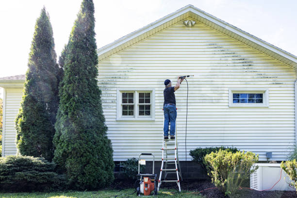 Best Soft Washing  in Lemon Hill, CA